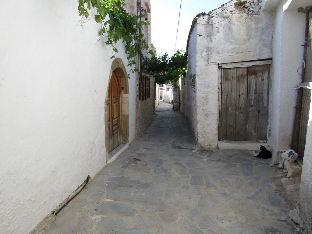 הוילה Pigi  Theanos House מראה חיצוני תמונה