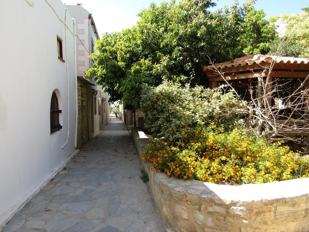 הוילה Pigi  Theanos House מראה חיצוני תמונה